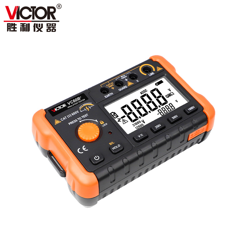 VICTOR 60B+/60D+绝缘电阻测试仪20